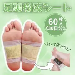 Item thumbnail for item 9791510d-7ad6-46ac-ba22-76d981c75464