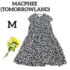 Item thumbnail for item 4c0ae2b5-5918-4bd5-a3c5-bd1d7d5c7b8a