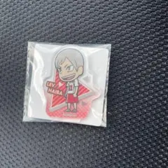 セリア　アクスタ　リエーフ