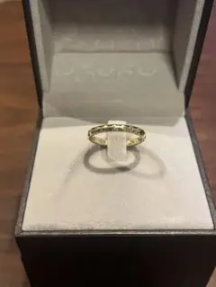 LOUIS VUITTON アリアンスモノグラムアンフィニ