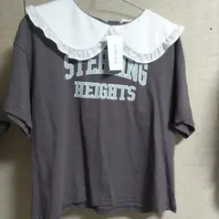 COLZA フリル付き襟 グレー Tシャツ