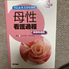 ウエルネスからみた 母性看護過程 +病態関連図