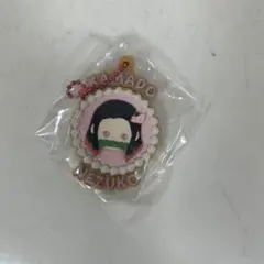 鬼滅の刃 ぷちぶれーく ねずこ