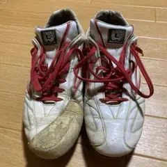 ビモロスパイク 28.5