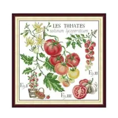 【新品】刺繍作成キット トマト 野菜 カラフル 14カウント 図面あり おしゃれ