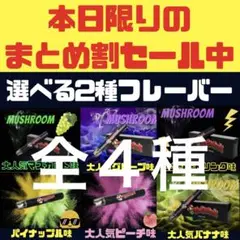 【新品未使用】シーシャ がーどまん マッシュルーム 2本セット割引 即日発送