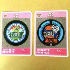 マンホールカード　フォレストリーヴズ熊本　初版　2まいセット