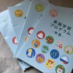 カルママ様専用】伸芽会 家庭学習プログラムセット（年長） 本