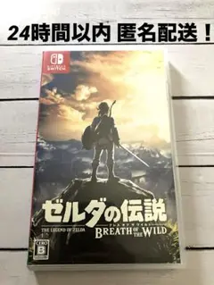 ゼルダの伝説 ブレスオブザワイルド Nintendo Switch スイッチ