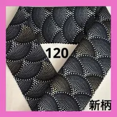 Item thumbnail for item 13665b07-5b29-4c47-9be8-61a7e629522e