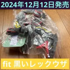 【ポケモンセンター限定】C 黒いレックウザ ぬいぐるみ Pokémon fit