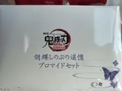 鬼滅の刃 無限場編 胡蝶しのぶ追憶ブロマイドセット