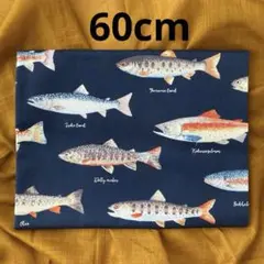 コットンこばやし　トラウト60ｃｍ　魚/さかな/サカナ/フィッシュ/釣り