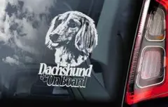 Item thumbnail for item adc60061-1802-4d2f-adba-52c48f5f60cc