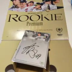 Item thumbnail for item 56c0839b-ab80-407c-a399-a3e331964886