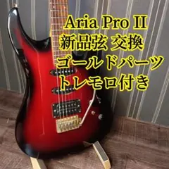 アリアプロ2 マグナシリーズ　　メイドインジャパン　ゴトーブリッジ、ペグ ペグを買ったらついてきた？マグナーその1