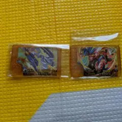 ポケモンフレンダ ベストタッグ第一弾 レガシーピック コライドン ミライドン