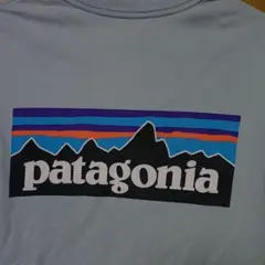 patagonia ライトグレー Tシャツ