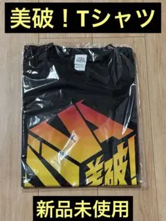 記念Tシャツ　２０２４ 美破！　 Lサイズ　福岡ソフトバンクホークス