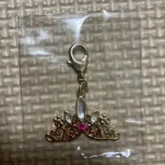 ディズニー プリンセス シークレットチャーム ラプンツェル