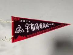 高校野球 愛媛代表 宇和島東 ペナント 第92回 2010年