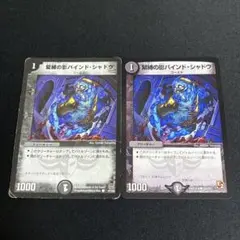 緊縛の影バインドシャドウ 2枚