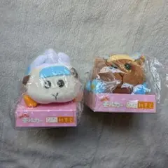 Item thumbnail for item dd767d4c-4182-4749-b9de-c5d079fa50a5