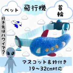 Item thumbnail for item 65fca3c5-cdff-4e1e-872e-d729b253d41e