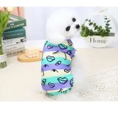 Item thumbnail for item 19247fd4-2e84-4b47-a635-66edcd8977a2