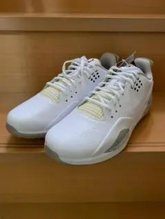 JORDAN ADG3 ゴルフシューズ　27.0cm/US9.0 Jordan ADG 3 White Tech Grey for Sale | Authenticity