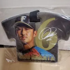 中田翔 グッズ