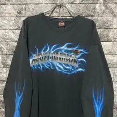 Item thumbnail for item 920b4918-f5bf-462f-bfff-8a77ca136f7f