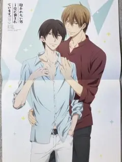 抱かれたい男1位に脅されています。 ポスター1