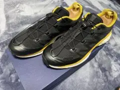 Salomon サロモン スキー ブーツ X LAB130+ 24.5中古 スキー