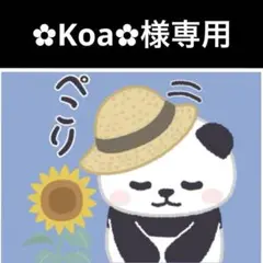 専用