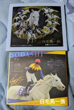 値下げ　ソダシと白毛の仲間たち写真集(仮題) 写真集 ソダシと白毛の仲間たち -白のきらめき- - 競馬グッズの