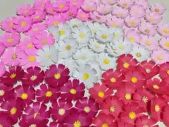 秋の壁面飾り コスモス