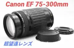 Item thumbnail for item 46929d90-0a77-4cad-955f-55ac619121e0