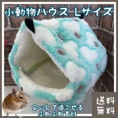 Item thumbnail for item 988b8637-672d-47ee-9924-46accf49da49