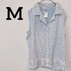 Item thumbnail for item 959eac61-ee6c-4ccc-9740-ce549cfa4b99