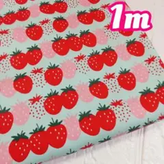 仲良しいちごのボーダー柄……オックス1m