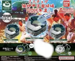 ミニチュア阪神甲子園球場2025年夏　ガチャ　　5種