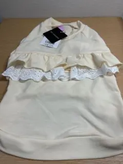 Item thumbnail for item 01085e8e-8ad7-49ad-b17c-de60d72ca8fb