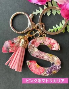 Item thumbnail for item 9e183826-c9fc-4916-abd3-bbdd16e8fe4d