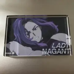 僕のヒーローアカデミア レディナガン アクリルブロック ladynagant