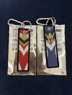 ウルトラマン ランダムフライトタグ vol.1 ガイア アグル セット