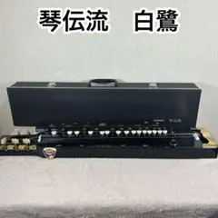 SUZUKI 電気大正琴 蘭 バス（セミハードケース付） SUZUKI 電気大正琴 蘭 バス（セミハードケース付） - メルカリ