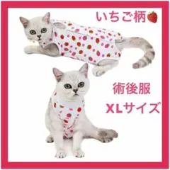 Item thumbnail for item 2a1ef7d6-2d4e-4231-ac54-8504a7eeac99