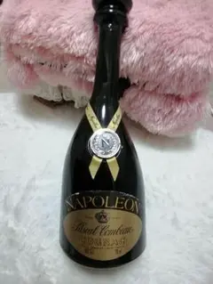 ナポレオン 700ml 未開封