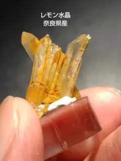 2025年最新】水晶 五代松の人気アイテム - メルカリ